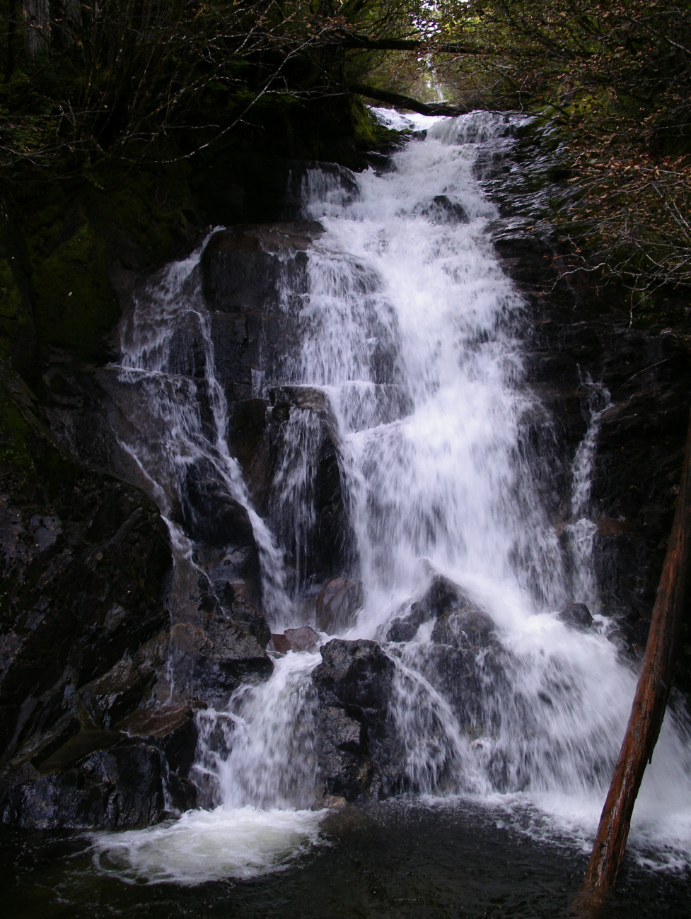 A pretty little waterfall in the Ketchikan area (Image credit: Crew and Officers of NOAA Ship FAIRWEATHER) A pretty little waterfall in the Ketchikan area