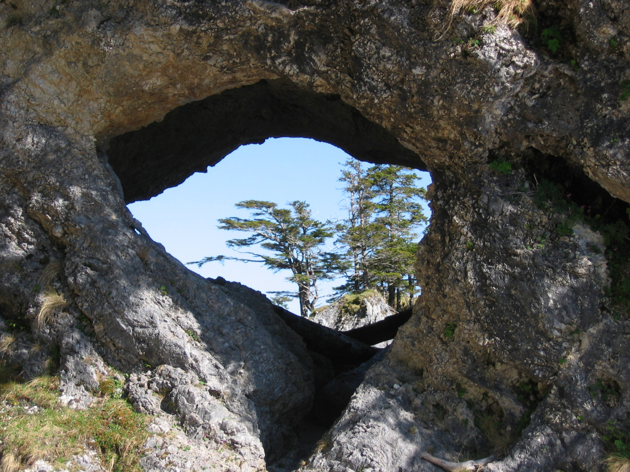 Looking out from a Sea cave in the Cape Decision area (Image credit: Crew and Officers of NOAA Ship FAIRWEATHER) Looking out from a Sea cave in the Cape Decision area