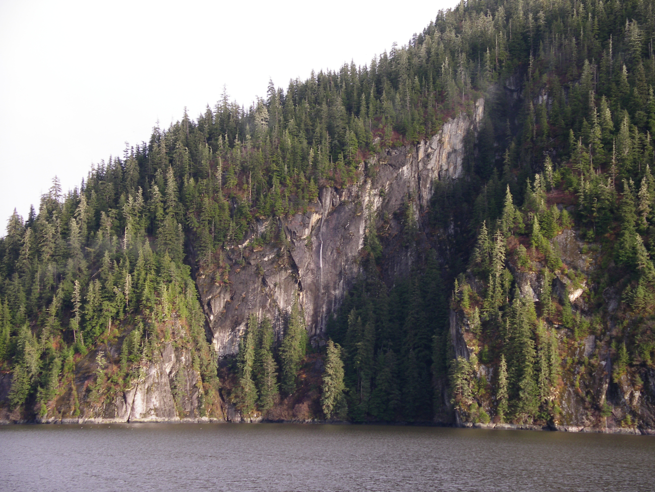 Bradfield Canal cliff (Image credit: Crew and Officers of NOAA Ship FAIRWEATHER) Bradfield Canal cliff