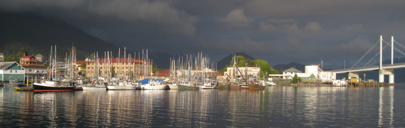 Fishing vessels tied up on the Sitka waterfront (Image credit: Crew and Officers of NOAA Ship FAIRWEATHER | LTJG Damian Manda NOAA Corps) Fishing vessels tied up on the Sitka waterfront