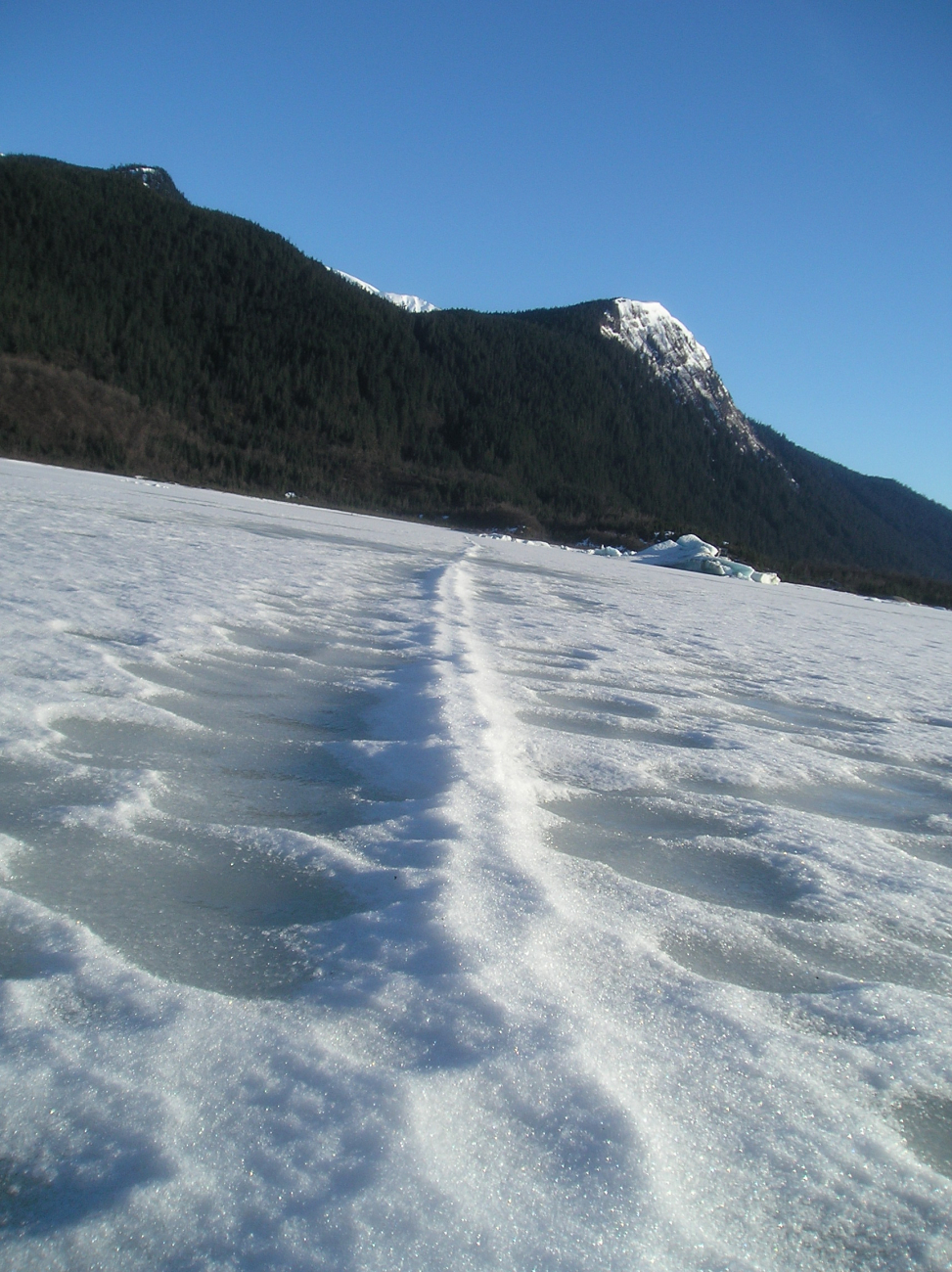Scenes around Mendenhall Glacier (Image credit: Crew and Officers of NOAA Ship FAIRWEATHER) Scenes around Mendenhall Glacier