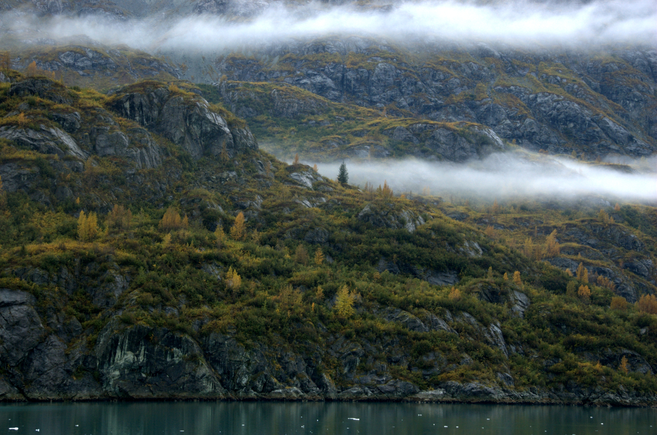 Wisps of fog on a Glacier Bay mountainside (Image credit: Crew and Officers of NOAA Ship FAIRWEATHER) Wisps of fog on a Glacier Bay mountainside
