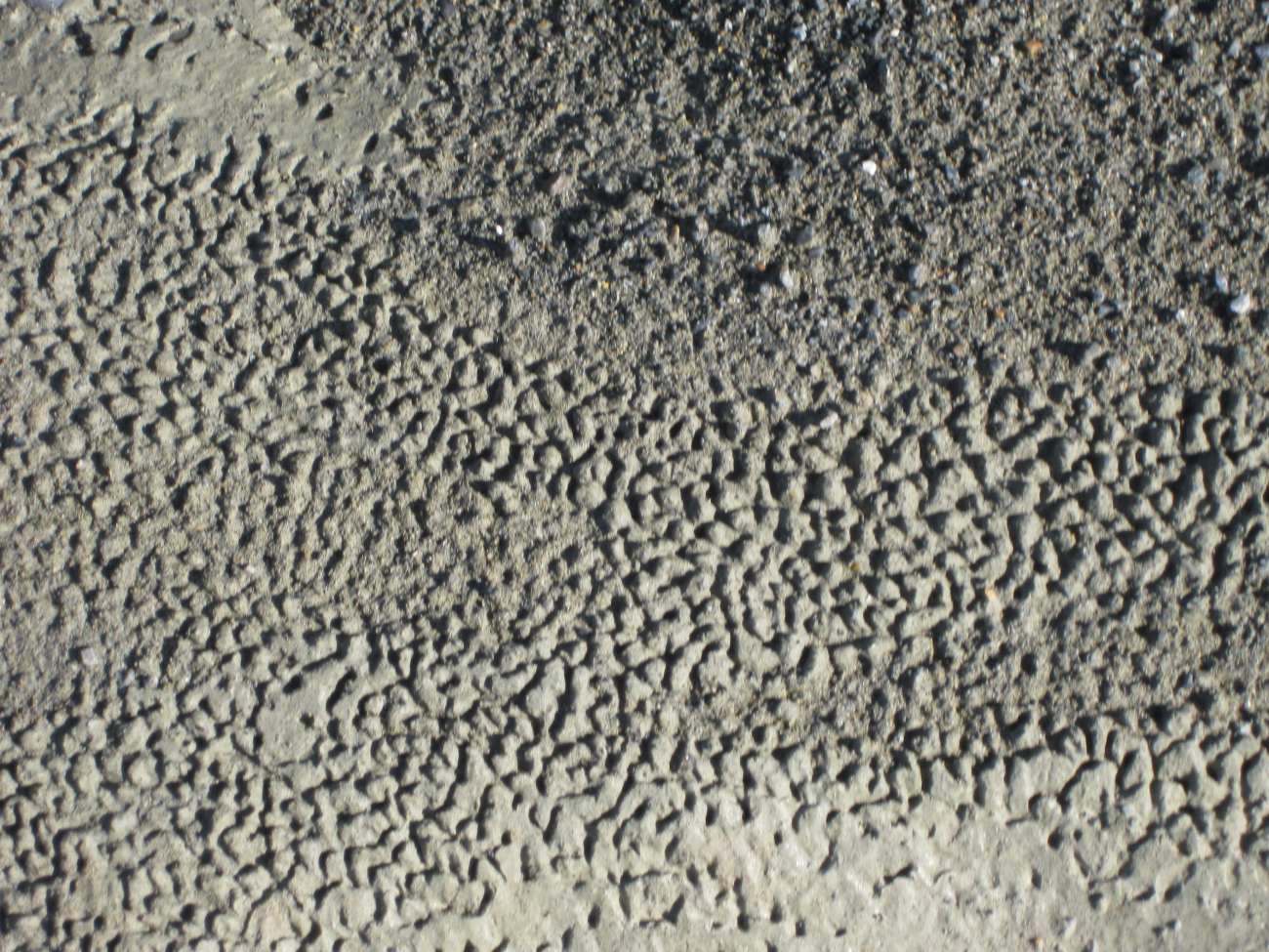 Maybe little ice structures in a sandy area of beach cobbles (Image credit: Crew and Officers of NOAA Ship FAIRWEATHER) Maybe little ice structures in a sandy area of beach cobbles