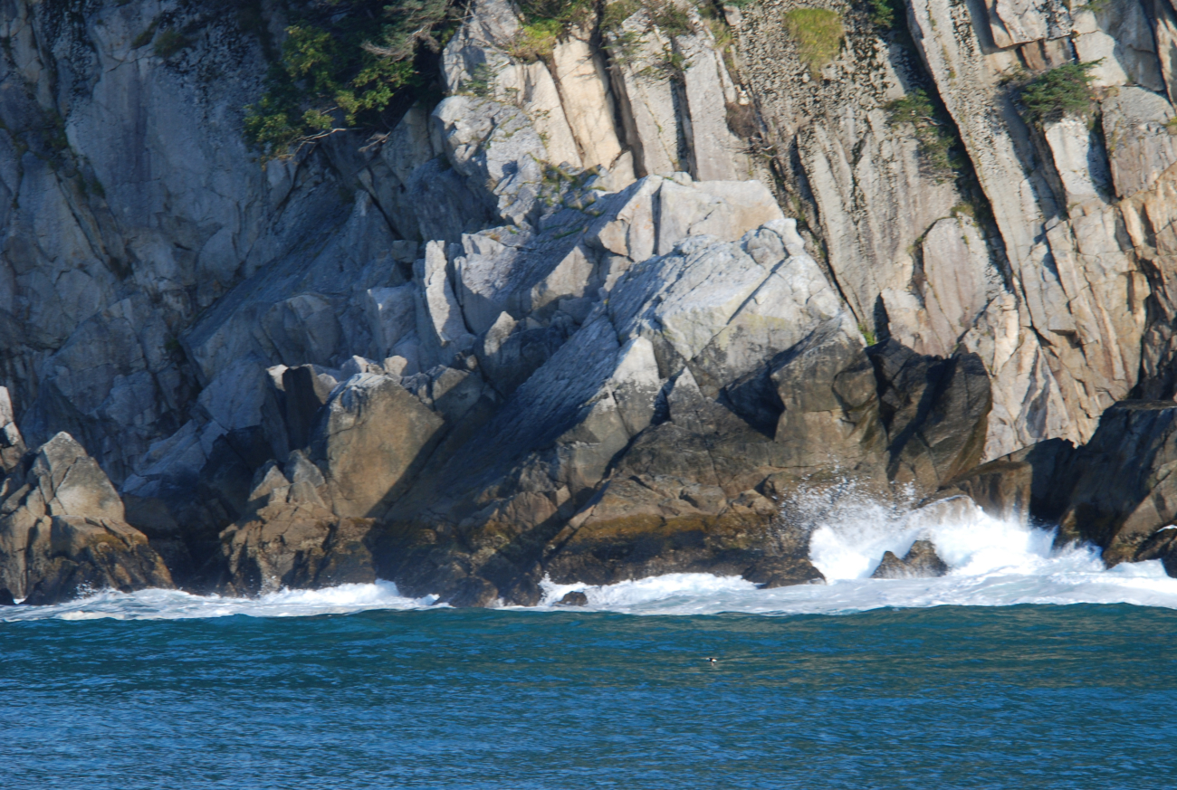 Kenai Fjords shoreline (Image credit: Crew and Officers of NOAA Ship FAIRWEATHER) Kenai Fjords shoreline