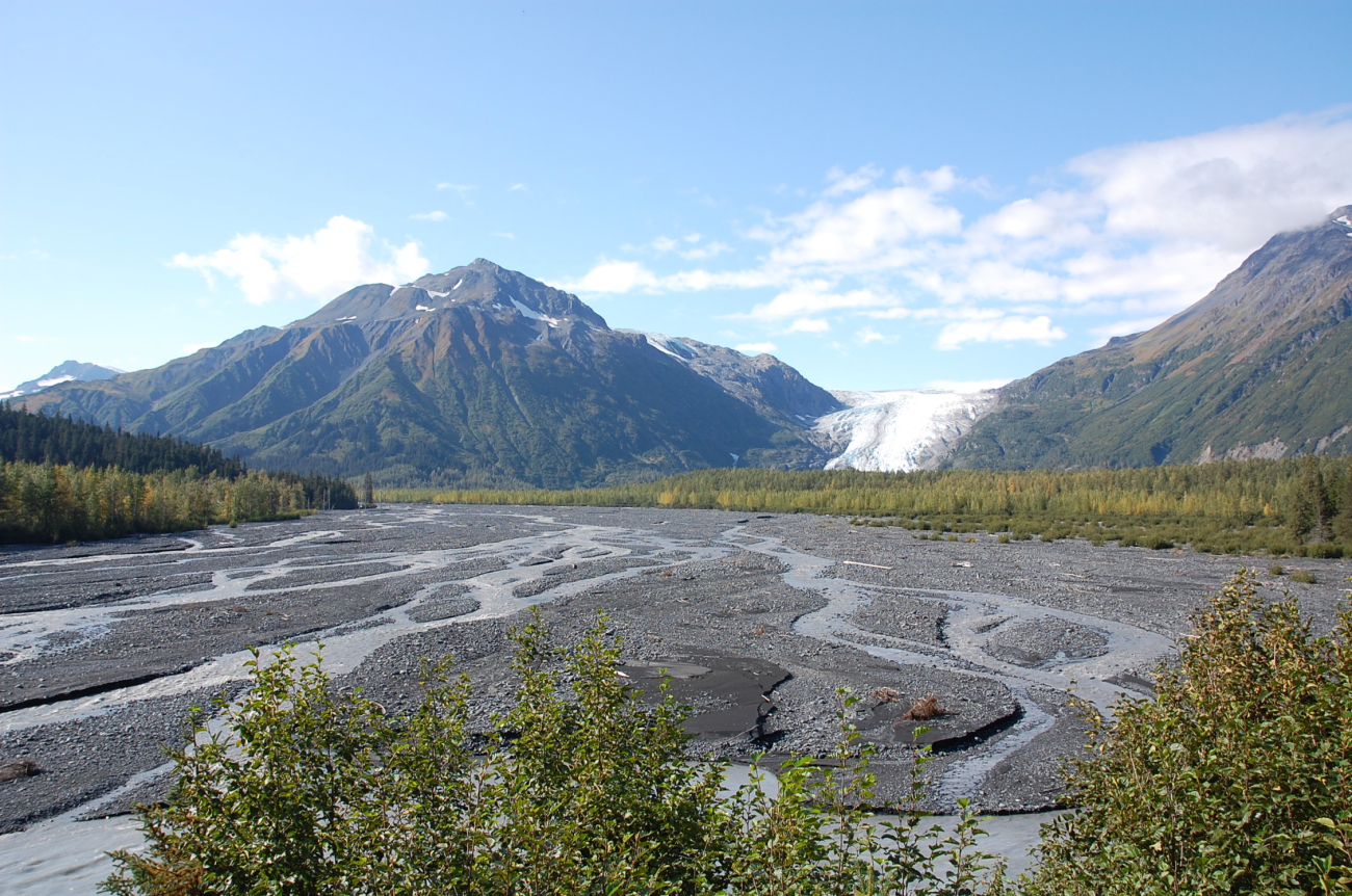Braided stream with Exit Glacier in the background