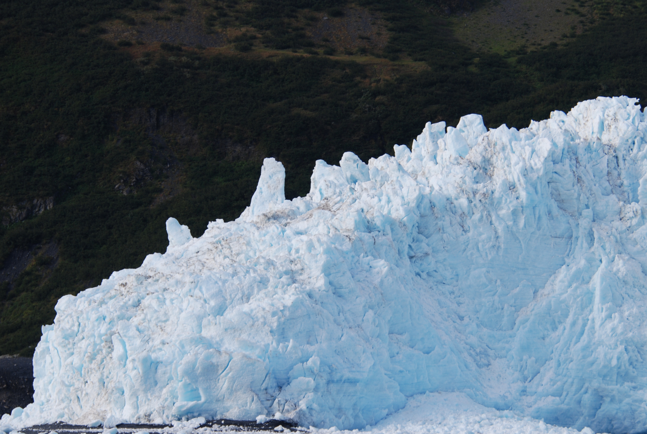 Southwest edge of Aialik Glacier terminus (Image credit: Crew and Officers of NOAA Ship FAIRWEATHER) Southwest edge of Aialik Glacier terminus