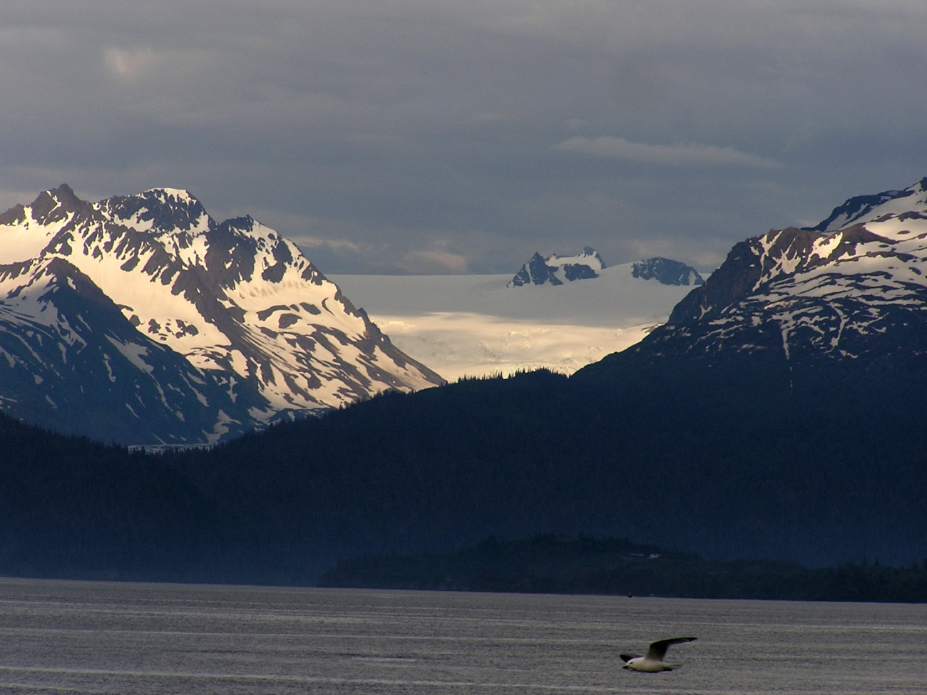 Mountains, snow, and a lone seagull (Image credit: Crew and Officers of NOAA Ship FAIRWEATHER) Mountains, snow, and a lone seagull