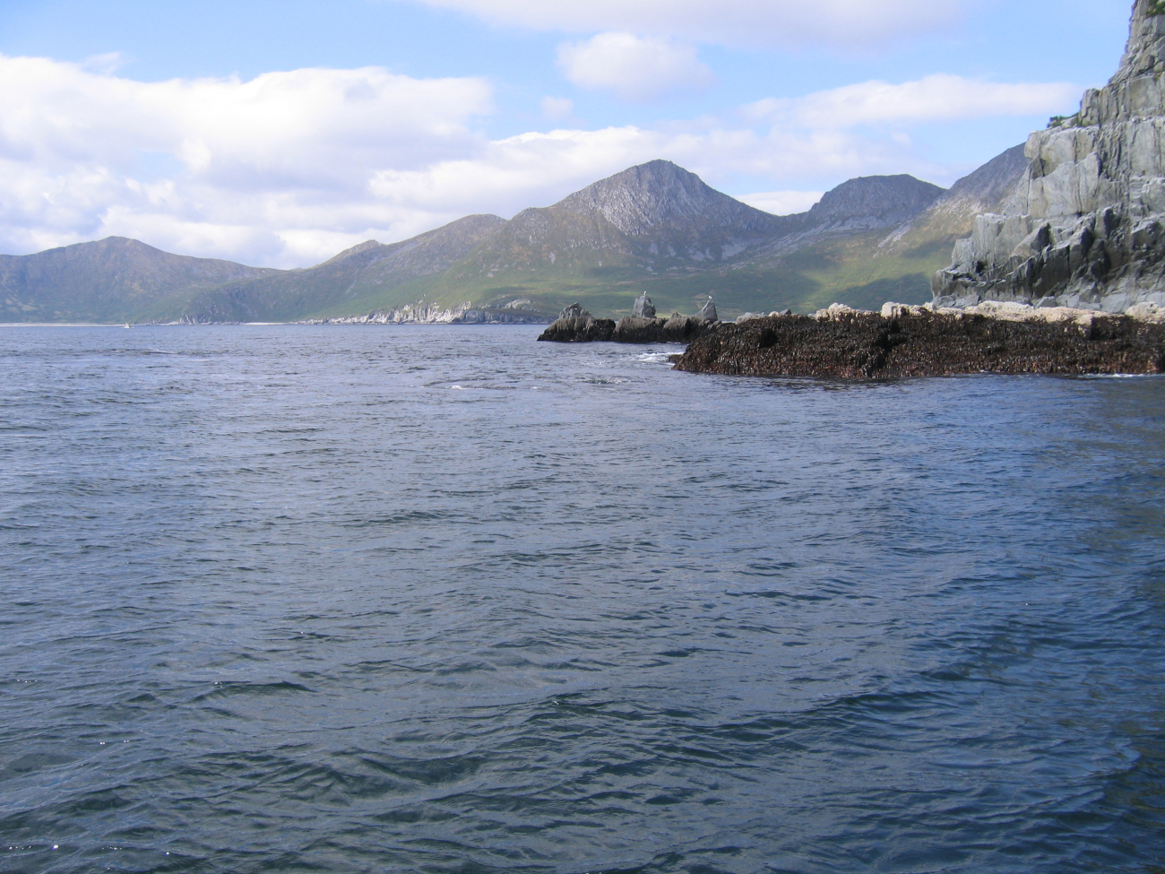 Low tide on Kachemak Bay