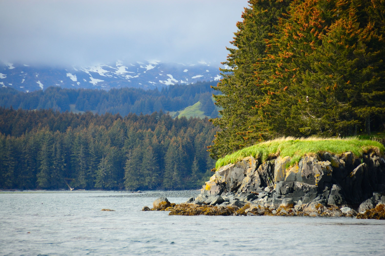 A contrast of colors along Kodiak Island shoreline (Image credit: Crew and Officers of NOAA Ship FAIRWEATHER | Weston Renoud) A contrast of colors along Kodiak Island shoreline