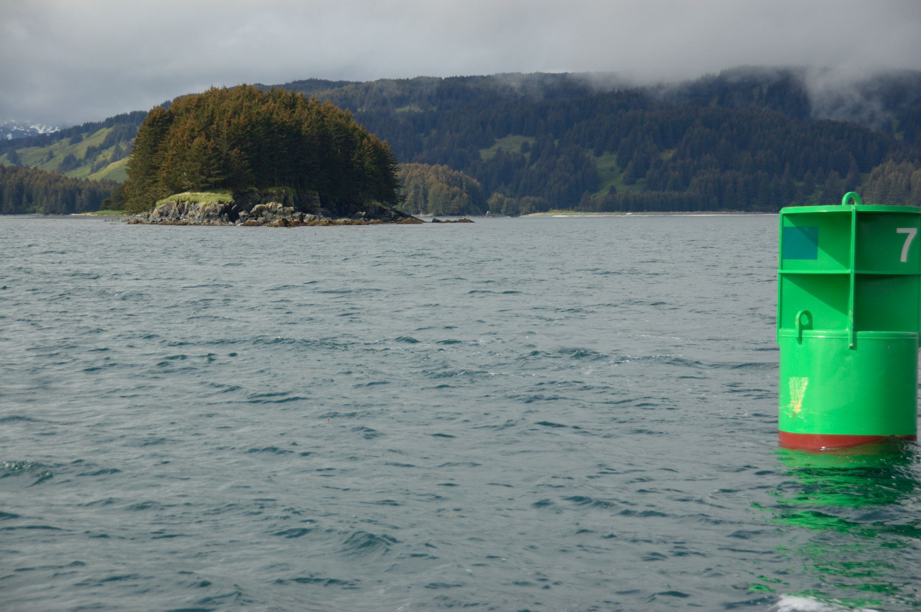 Green buoy 7 along Kodiak coastline (Image credit: Crew and Officers of NOAA Ship FAIRWEATHER | Weston Renoud) Green buoy 7 along Kodiak coastline