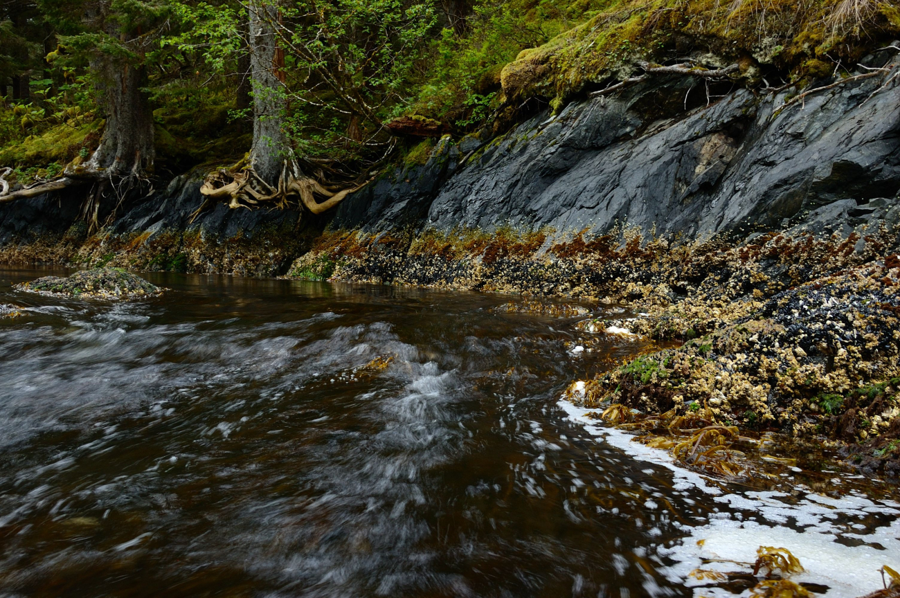 A rushing tidal stream at low tide at Seldevoe Lagoon on Spruce Island (Image credit: Crew and Officers of NOAA Ship FAIRWEATHER) A rushing tidal stream at low tide at Seldevoe Lagoon on Spruce Island