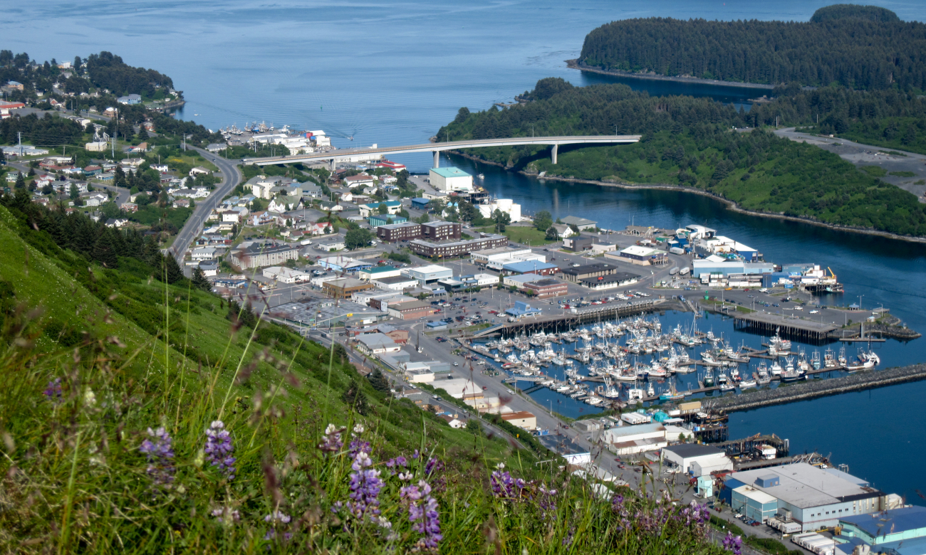 View of Kodiak Harbor from Pillar Mountain (Image credit: Crew and Officers of NOAA Ship FAIRWEATHER | LTJG Damian Manda NOAA Corps) View of Kodiak Harbor from Pillar Mountain