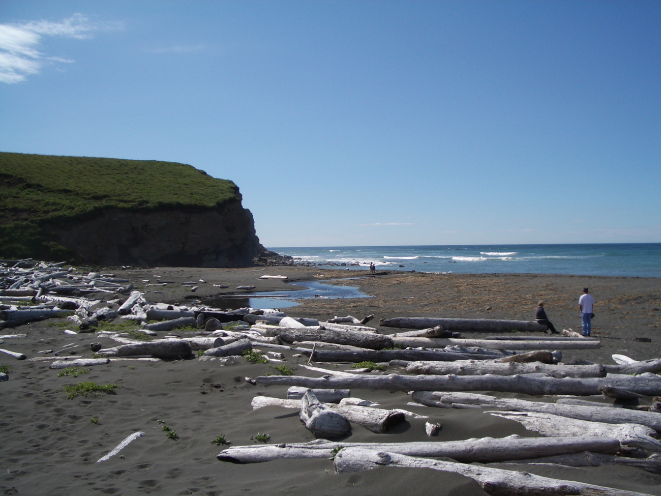 Large logs mark upper limit of storm surf at Fossil Beach (Image credit: Crew and Officers of NOAA Ship FAIRWEATHER) Large logs mark upper limit of storm surf at Fossil Beach