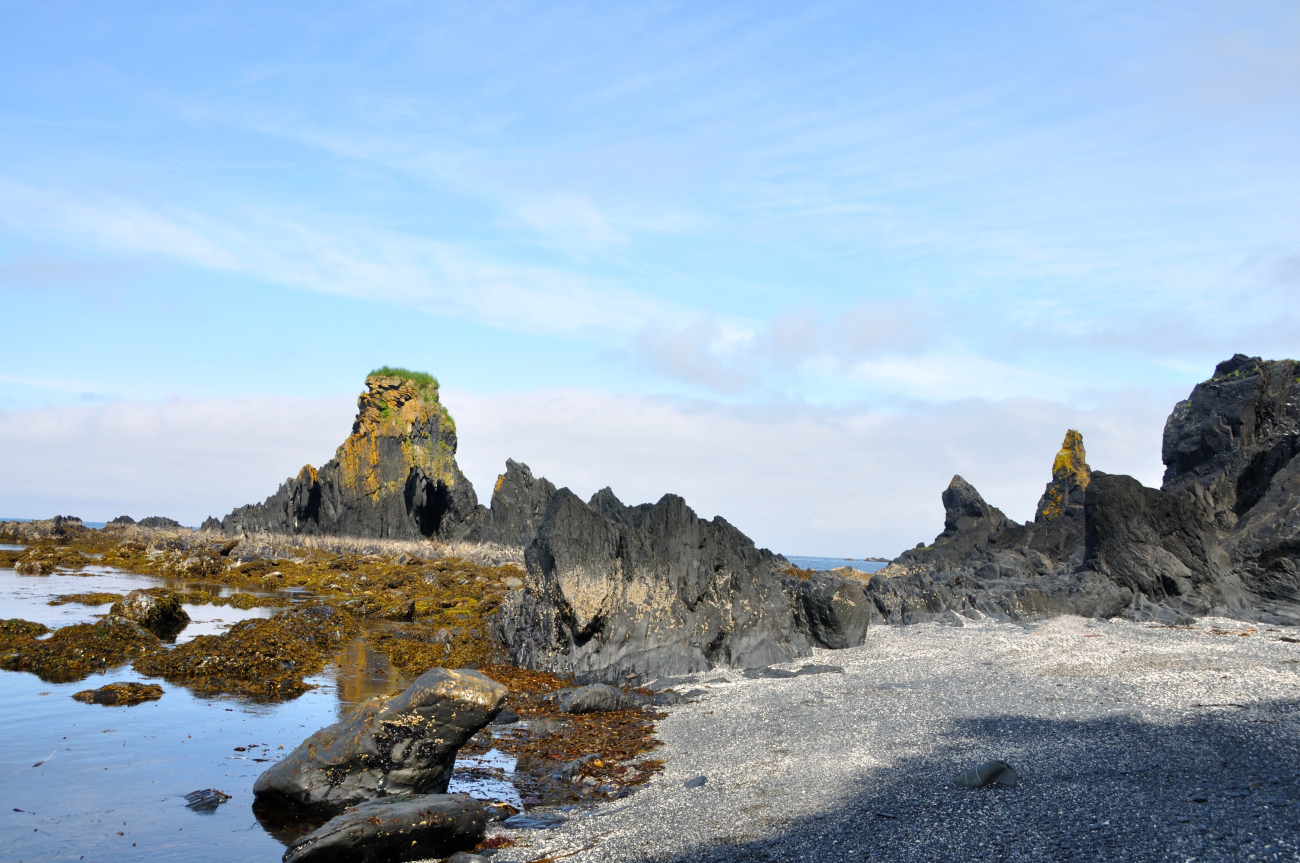 A speckled beach and rock formations at low tide (Image credit: Crew and Officers of NOAA Ship FAIRWEATHER | CST Tami Beduhn) A speckled beach and rock formations at low tide