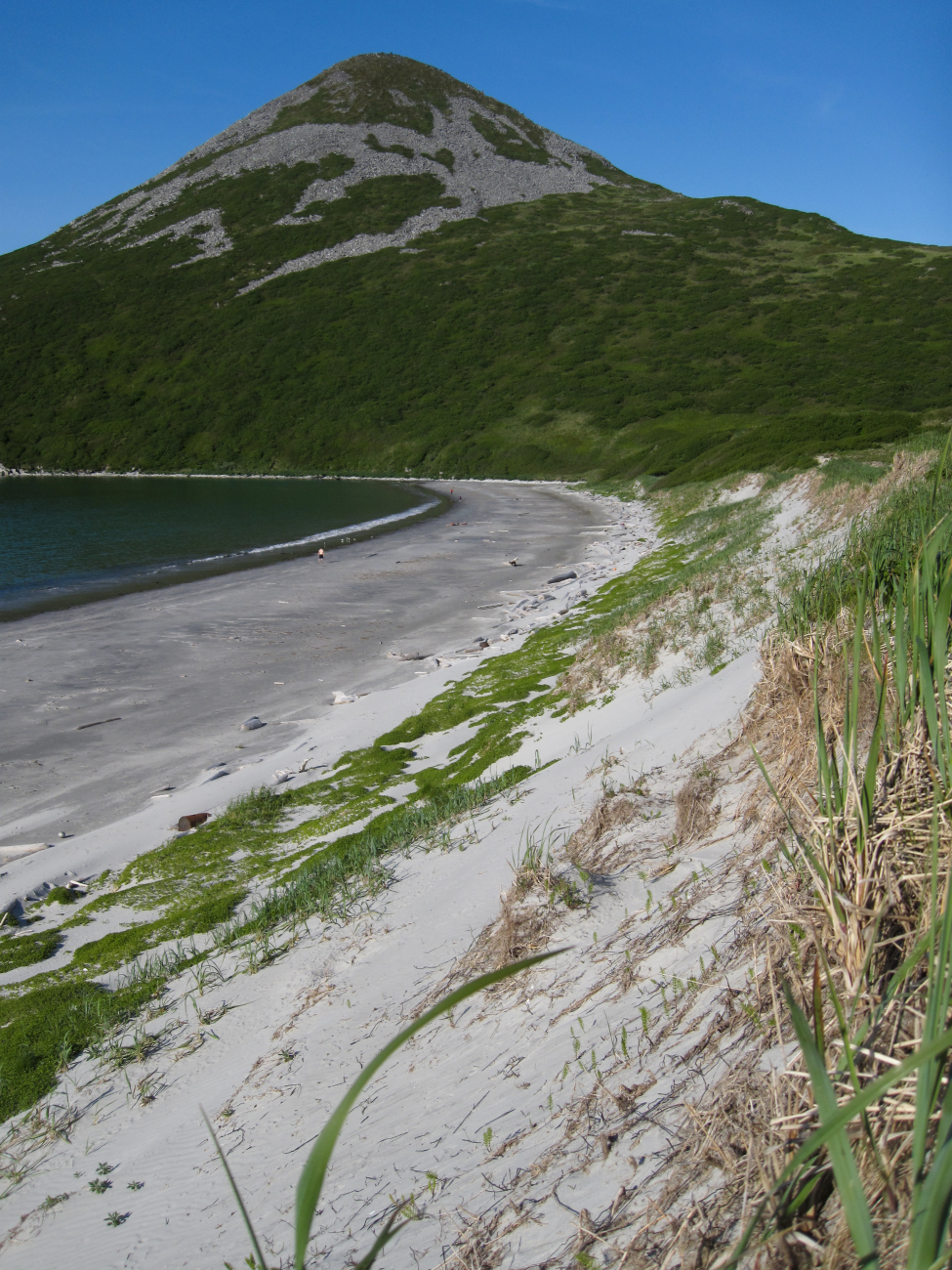 A nice sand beach with dunes behind on a Shumagin Island beach (Image credit: Crew and Officers of NOAA Ship FAIRWEATHER | LTJG Damian Manda NOAA Corps) A nice sand beach with dunes behind on a Shumagin Island beach