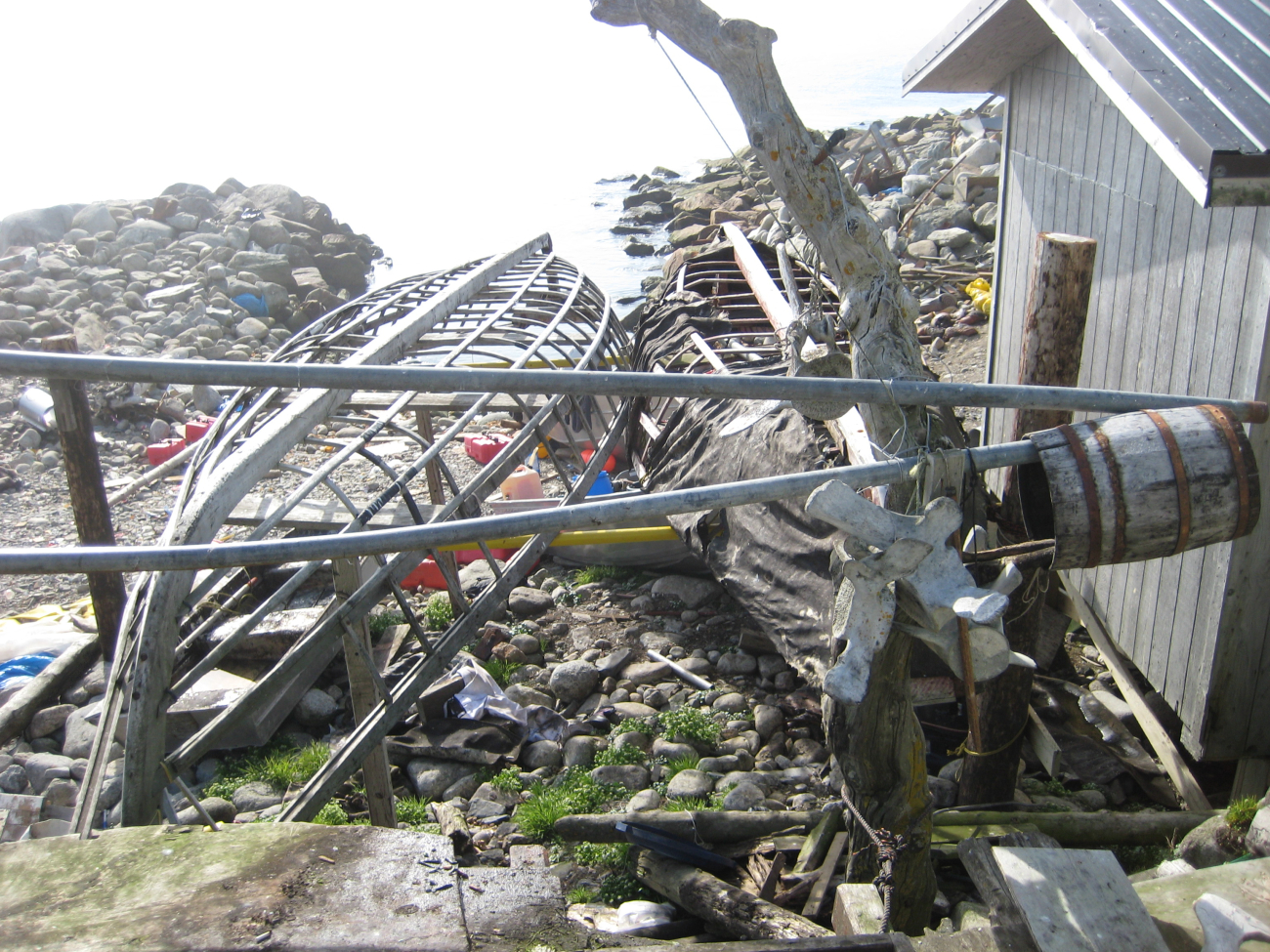 Frames of skin boats on Little Diomede Island