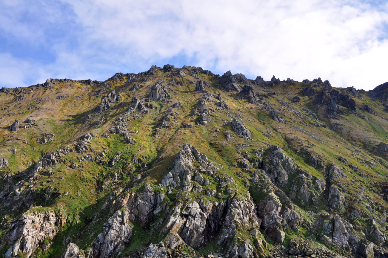Looking up from the shoreline of Little Diomede Island to theedge of summit plateau