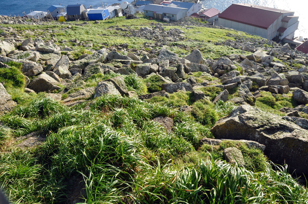 Looking down on the native village at Little Diomede Island (Image credit: Crew and Officers of NOAA Ship FAIRWEATHER | CST Tami Beduhn) Looking down on the native village at Little Diomede Island