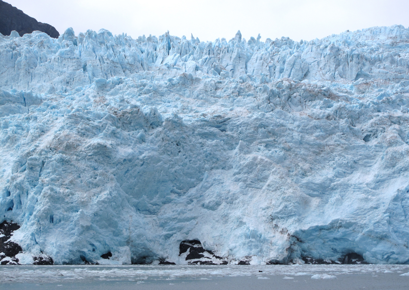 A tidewater glacier with sea otters on the ice for scale! (Image credit: NOAA OAR 2013 Photo Contest | Leah Fisher) A tidewater glacier with sea otters on the ice for scale!