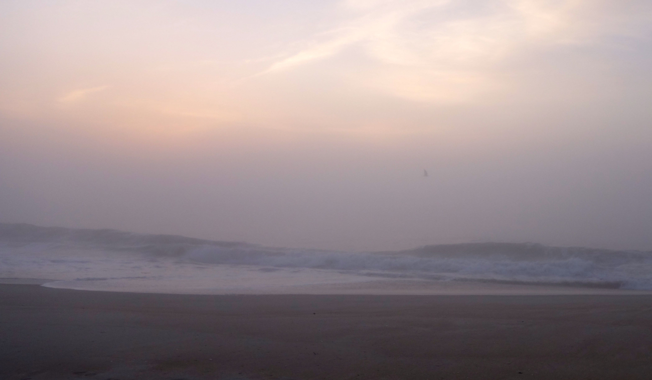 A foggy misty morning (Image credit: Jenny Thacker) A foggy misty morning