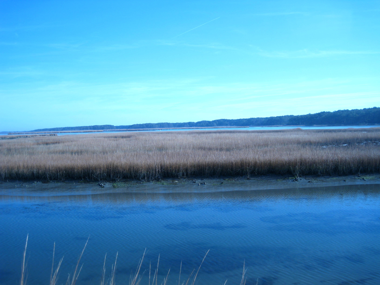Looking across the wetlands of Chincoteague Bay to Assateague Island (Image credit: Captain Albert E. Theberge) Looking across the wetlands of Chincoteague Bay to Assateague Island