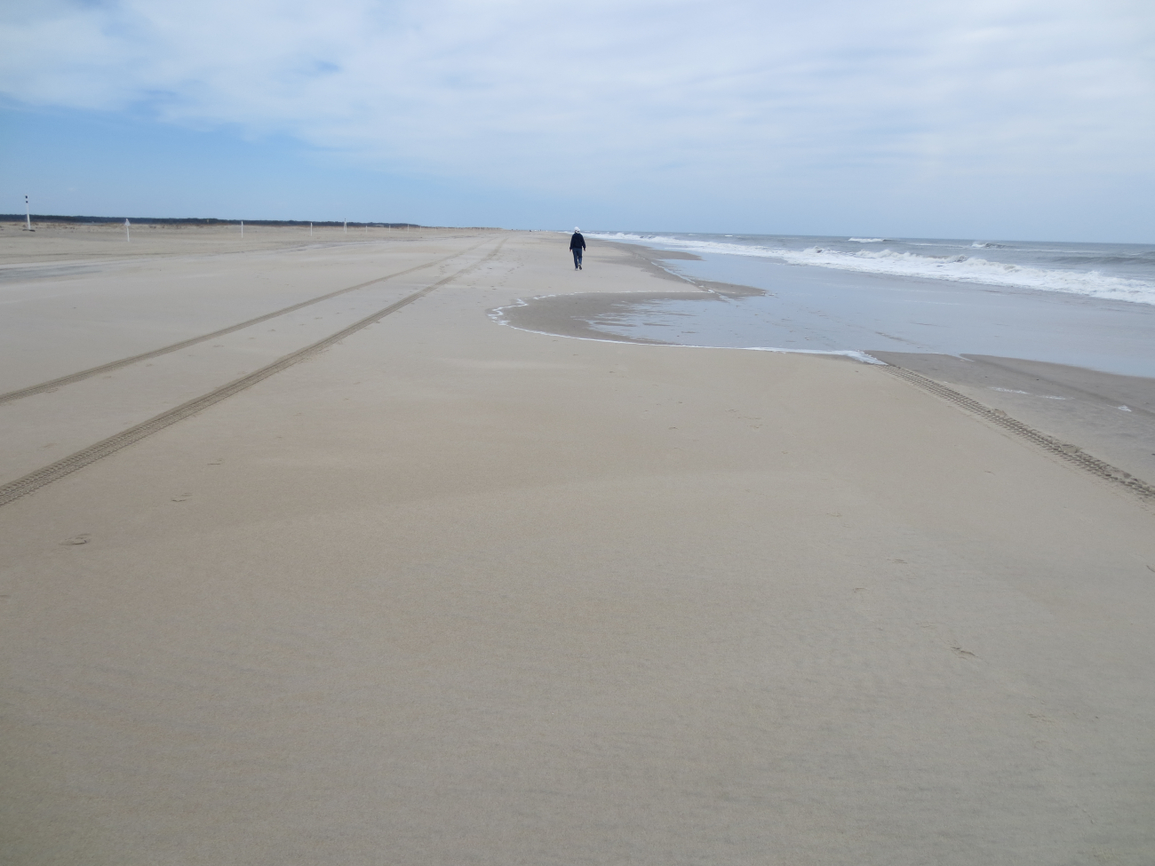 Looking north on Assateague Island beach (Image credit: Captain Albert E. Theberge) Looking north on Assateague Island beach