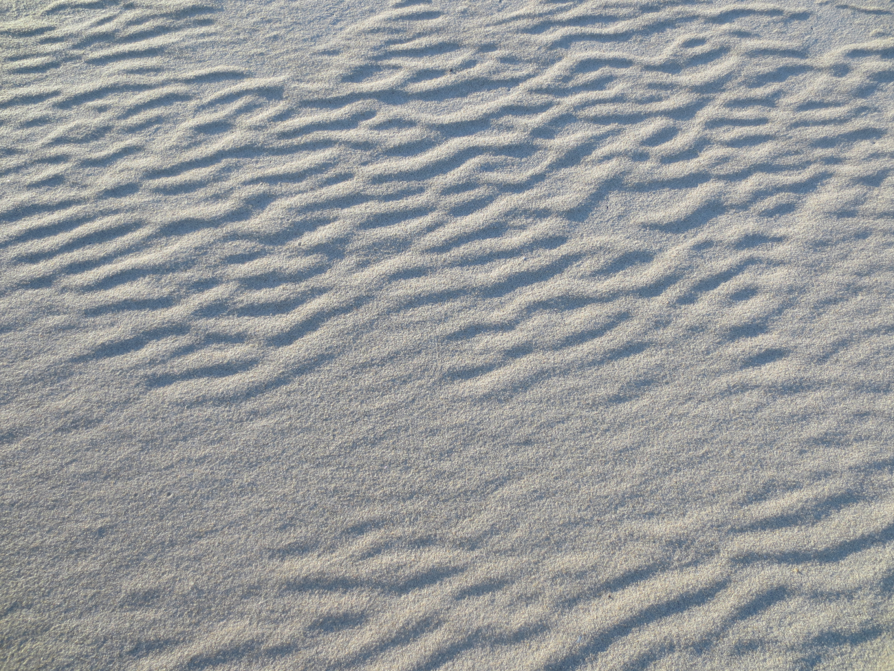 Sand dunes in the Sahara or inch-high ripple pattern in sand of AssateagueIsland? The latter (Image credit: Captain Albert E. Theberge) Sand dunes in the Sahara or inch-high ripple pattern in sand of AssateagueIsland? The latter