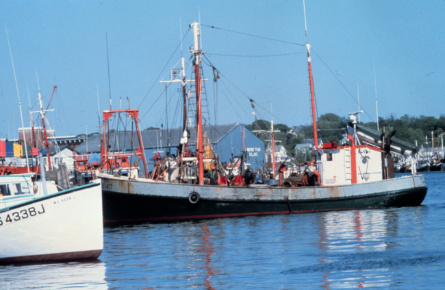 Gloucester waterfront
