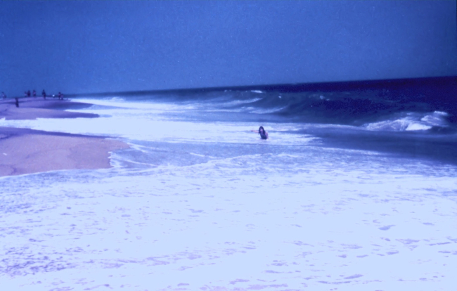 A Cape Cod beach scene