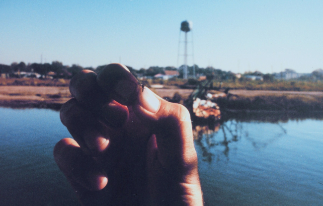 The ubiquitous mosquito of bayou country
