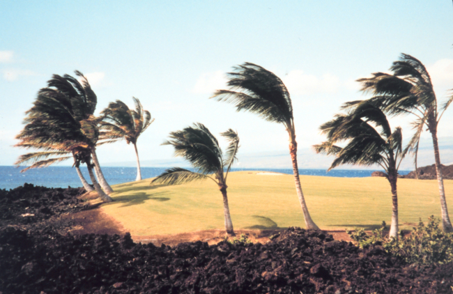 Golf course on the Kona coast