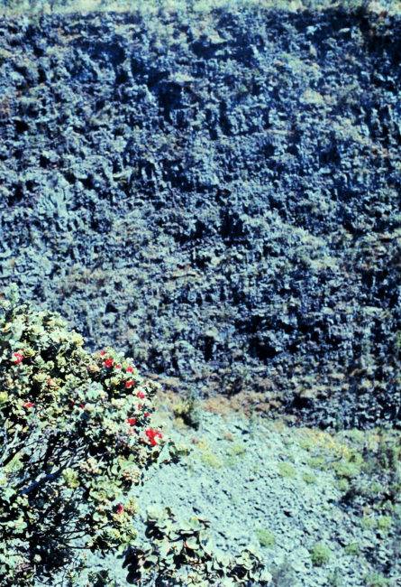 Volcanic cliff with red flowers in foreground