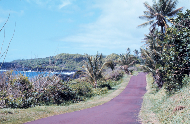 One-lane seaside road