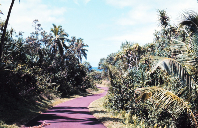One-lane seaside road