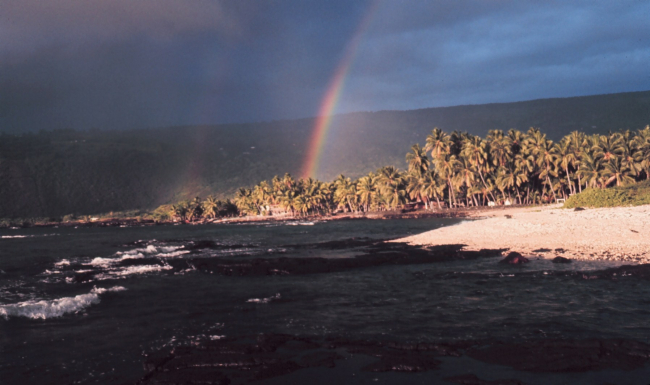 A double rainbow over palm trees on the coast
