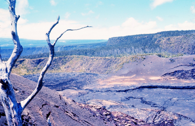 A volcanic crater with cracking floor, basalt cliffs and a dead tree in moon-like volcanic terrain