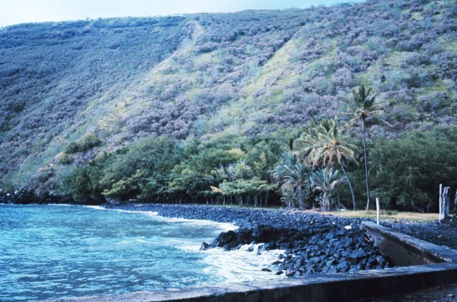 Hawaiian shoreline