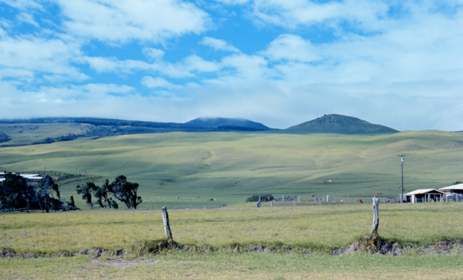 A scene in the Parker Ranch