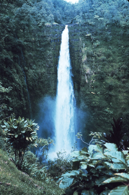 Akaka Falls, a 400-foot drop