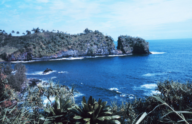 A coastal scene north of Hilo