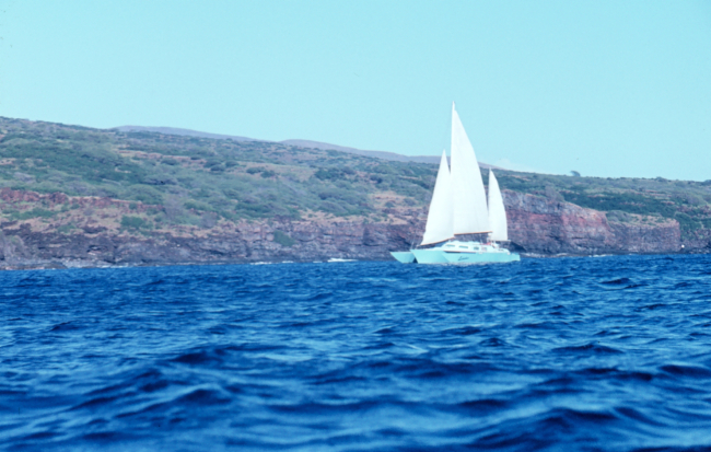 Catamaran sailing off Hawaiian island