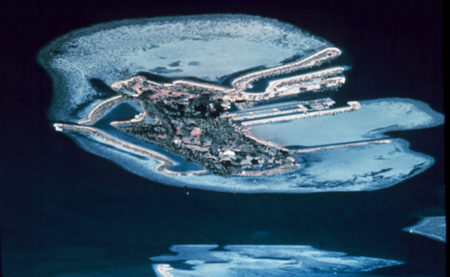 Coconut Island
