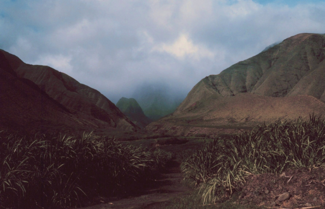 Pali