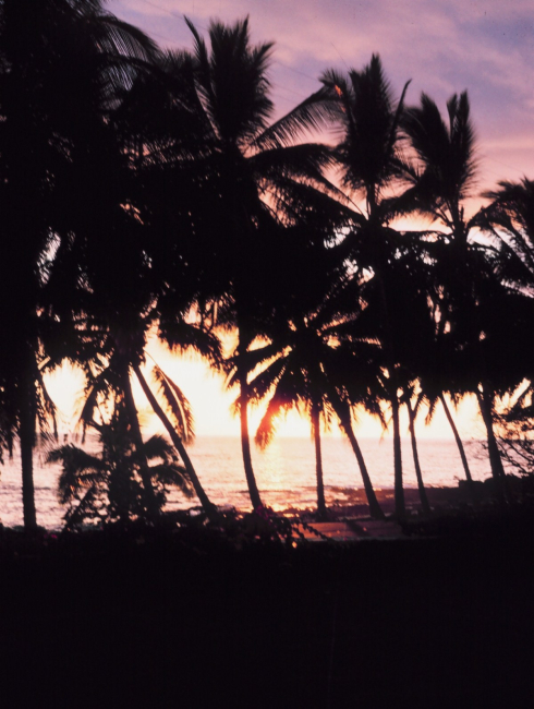 Kona White Sands
