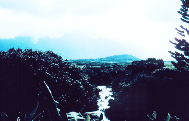Wailua River from the Tropical Inn