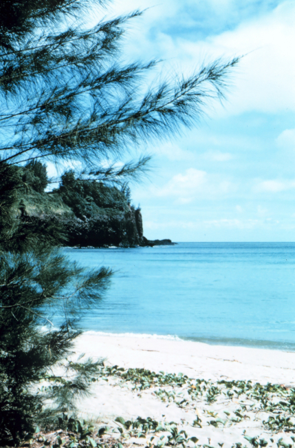 Kalihiwai Bay