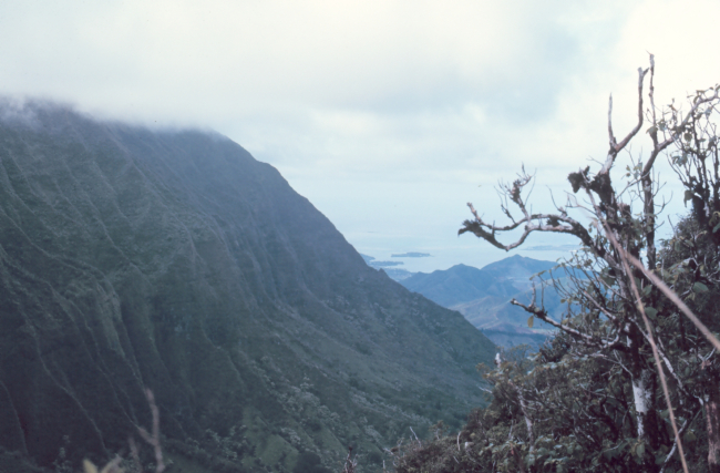 Looking down a rugged valley to the sea