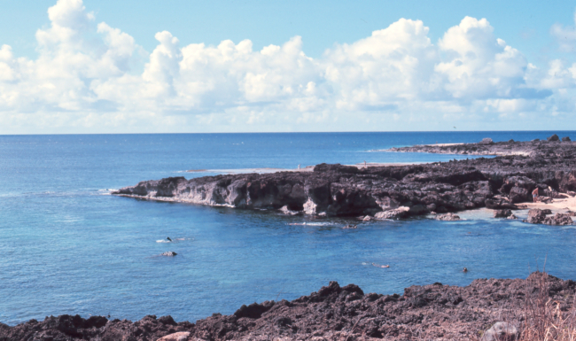 Hawaiian island coastline