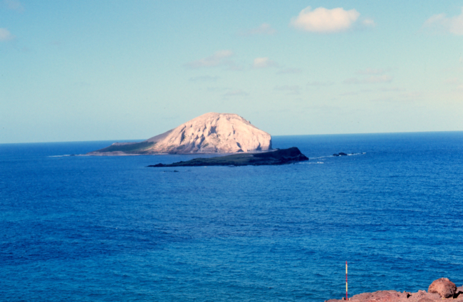 Rabbit Island