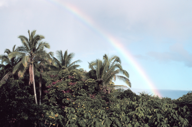 A Hawaiian rainbow from a Hilo apartment building